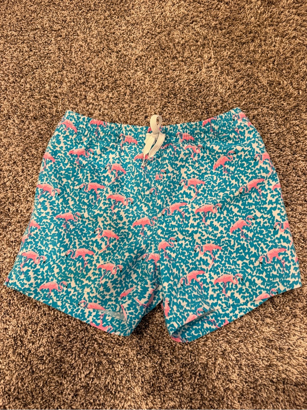 chubbies Teal Swim Shorts with Pink Flamingo Print